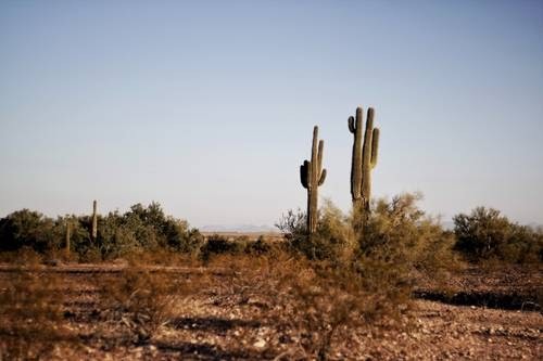 a traffic light on a dry grass field